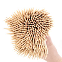 Bâtonnets de bambou biodégradables et organiques de haute qualité, fabriqués directement en usine, à faible teneur en carbone, écologiques, service 24h/24.