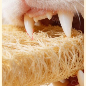 Jouet interactif pour chat en luffa naturelle, résistant aux morsures, pour le nettoyage des dents et le divertissement autonome contre l'ennui - Product Image 5