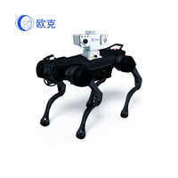Robot quadrupède biomimétique personnalisé pour l'aéroport Métro à grande vitesse Robot de sécurité chien de patrouille de suivi par reconnaissance faciale