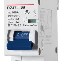 Disjoncteur miniature DZ47-125 100A 400V 6kA MCCB 1P 2P 3P 4P Montage sur rail DIN pour distribution électrique