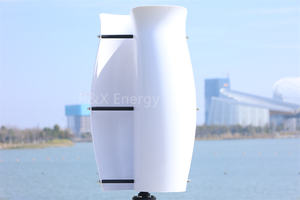 Éolienne <span class=keywords><strong>verticale</strong></span> Tulip avec pales en fibre de verre, puissance nominale de 5 kW, sortie 12 V-380 V pour une utilisation domestique, système hybride éolien - Product Image 6