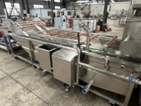 Hoge kwaliteit sinaasappel citroen aardbei fruitreinigingsapparatuur bubbelwasmachine met beste prijs
