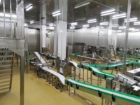 Máquina Automática para Voltear Bandejas, Línea Automatizada de Liofilización, para Plantas de Procesamiento de Alimentos a Gran Escala