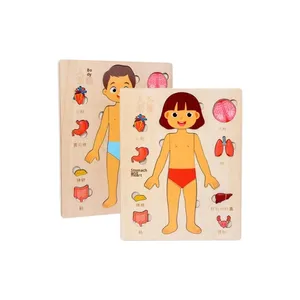 Jeu de puzzle 3D en bois sur la structure du corps humain pour l'éveil scientifique des enfants, jouet éducatif précoce sur l'anatomie des organes et la cognition squelettique - Product Image 5