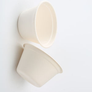 Cheesy Bowls Sugarcane Salad Biodegradable Soup Bowl With Lid