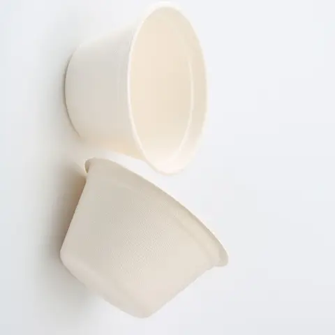 Cheesy Bowls Sugarcane Salad Biodegradable Soup Bowl With Lid