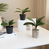Feuilles d'orchidée artificielles haut de gamme (plastique) - 5 pièces - Grandes feuilles de Phalaenopsis pour arrangements floraux