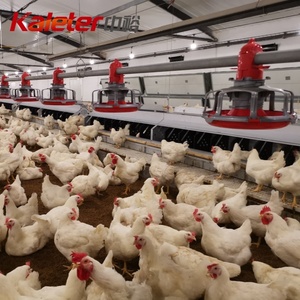 2024 ZHONGYU kaleter productos más vendidos ajustable Cock pan tipo Hank sistema de alimentación de dragón - Product Image 2