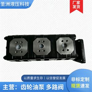 Pompe à huile hydraulique triple Shengzhou Hydraulics CBGJ505032 pour engins de forage et machines de construction en fonte - Product Image 2