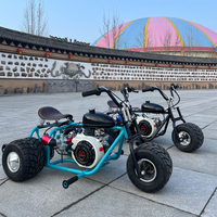 Mini moto de course personnalisée à pédales, 212cc, 8,5 ch, 4 temps, à essence, transmission par chaîne, pneus de course de 5 pouces, 60 km/h, karts tout-terrain