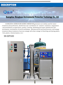 Ozone en acier inoxydable haute performance pour le traitement des eaux usées industrielles (200g-500g), décoloration, dégradation, CODBOD, garantie 1 an - Product Image 6