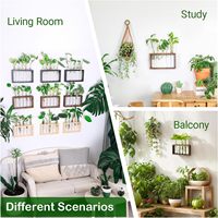 Rak Tanaman Bulat Ramah Lingkungan dari Kayu Pinus untuk Bunga/Tanaman Hijau Terarium Asal Vietnam Merek MSP Model No.1.5