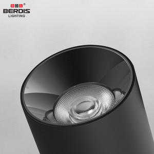 10W 15W 20W 26 WMontaje en superficie Lente COB Montaje en superficie Led Downlight Uso comercial Foco de luz de techo antideslumbrante - Product Image 5