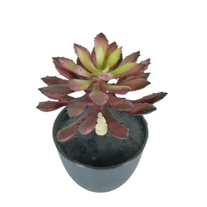 H17cm Mini finta plastica in vaso succulenta pianta succulenta artificiale in vaso finta succulenta artificiale