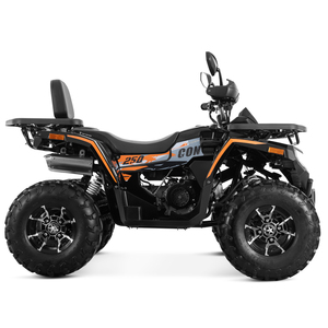 Tao Motor 2025 Nouveau Design Transmission par Chaîne 4x2 250cc ATV <span class=keywords><strong>Quad</strong></span> Bon Marché Vente en Gros Chine Cuatrimoto ATV 250cc avec EPA CE - Product Image 6