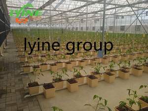 Système hydroponique vertical de haute qualité en vente chaude avec pompe pour aubergine, concombre, tomate, piment - Product Image 6