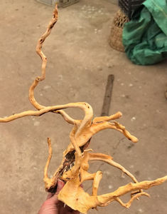 Drijfhout Voor <span class=keywords><strong>Aquarium</strong></span> Natuurlijk Reptiel Azalea Wortelhout 60-90Cm Diverse Takken <span class=keywords><strong>Aquarium</strong></span> Decoratie <span class=keywords><strong>Aquarium</strong></span> <span class=keywords><strong>Aquarium</strong></span> <span class=keywords><strong>Aquarium</strong></span> Ornament Decor - Product Image 6