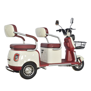 Tricycle populaire, tricycle pour adultes, tricycle passager, tricycle pour adultes - Product Image 2