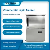 Congélateur rapide commercial pour concombre de mer alimentaire-équipement de réfrigération d'azote liquide à basse température fabriqué commercial