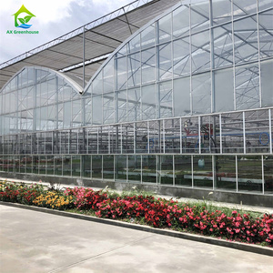 Serres agricoles de mur de verre de cadre en aluminium préfabriqué de Multispan de grand espace d'usine avec le système croissant hydroponique - Product Image 2