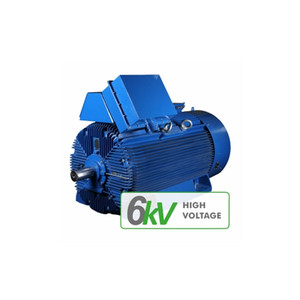 Moteur électrique CANTONI 4SIE IE4 Super Premium Efficiency pour usage industriel - Product Image 5