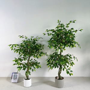 <span class=keywords><strong>Ficus</strong></span> en plastique double couche Artificial Trunk Layer <span class=keywords><strong>Ficus</strong></span> Tree <span class=keywords><strong>Pot</strong></span> pour décoration de magasin-149 - Product Image 2