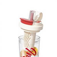 Bouteille d'eau avec paille et infuseur à thé, gourde de sport anti-fuite pour la salle de sport, le bureau et les voyages, tasse à boire en plastique Tritan sans BPA