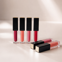 Gloss à lèvres liquide végétalien en tube rectangulaire transparent avec capuchon carré noir mat, applicateur floqué et plaque supérieure dorée, teintes rouge baie, vente en gros