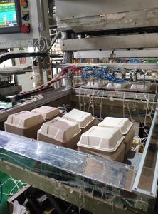6x6x3 英寸外带食品包装盒 贝壳形可堆肥甘蔗渣防水防油不含 BPA 散装食品容器 450 毫升 - Product Image 6