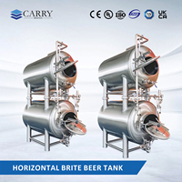 Cuve à bière horizontale en acier inoxydable 10BBL, design empilable pour brasserie artisanale à espace limité, conditionnement et stockage de la bière