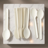 Ensemble de couverts jetables en bagasse pour mariage, fête, anniversaire, avec serviettes de table jetables en papier