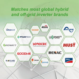 Batería Solar de Iones de Litio de Ciclo Profundo de 16KWH, 51.2V 280Ah 314Ah, Montada en la Pared, con Comunicación CAN, Sistema Híbrido para el Hogar, con BMS Integrado - Product Image 5