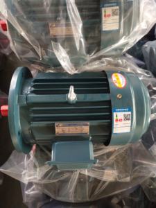 Serie YE2 2.2KW/3HP Motor eléctrico industrial asíncrono trifásico de CA 380V - Product Image 5