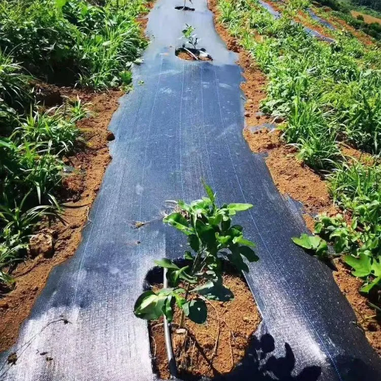 Сельскохозяйственная пластиковая тканая противотравяная ткань, ткань для защиты растений от сорняков
