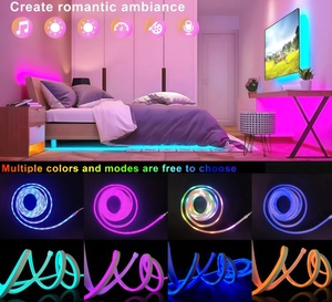 Smart APP Control RGBIC <strong>LED</strong> Neon <strong>Light</strong> <strong>Strips</strong> 5V USB IP65 <strong>Waterproof</strong> Full Kit <strong>Strips</strong> Lamp For Gaming Room Neon Sign