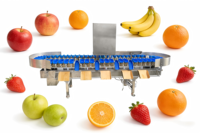 Machine de pesage et de tri à grande vitesse pour tomates, pommes de terre, pommes, fraises, kakis, oranges et légumes