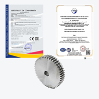 Engrenage droit industriel XinXing à double rangée avec alésage cannelé 5 kg, origine Chine, pour équipement de transmission mécanique