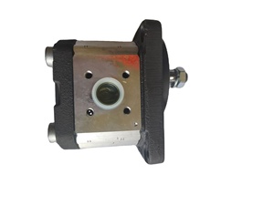 อุปกรณ์เสริม 0510425009 AZPF-11-008RCB ปั๊มเกียร์ - Product Image 4