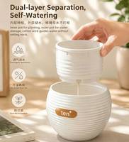 Pot à plantes auto-arrosant double couche personnalisé en plastique avec coton absorbant l'eau