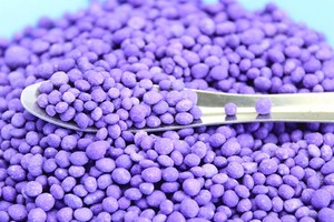 Fornitura di Fertilizzante NPK 17-17-17 Granulare, Concime Composto 17 17 17 in Sacchi da 50 kg - Product Image 4