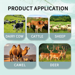 Minéraux et oligo-éléments <span class=keywords><strong>de</strong></span> qualité alimentaire à libération prolongée, protégés par un revêtement, additif alimentaire pour favoriser une croissance saine chez les vaches laitières - Product Image 4