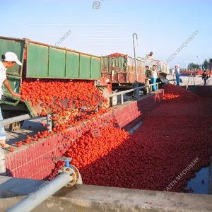 Usine professionnelle de fabrication de pâte de tomate, ligne de Production de jus, Machine de traitement