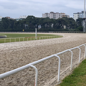 Clôture en PVC authentique Steeplechase complète avec remplisseurs de <span class=keywords><strong>brosse</strong></span> réalistes pour la pratique du saut de cross-country - Product Image 1