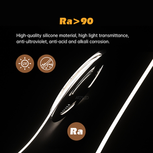 Prix fabricant - Bande LED flexible blanc chaud neutre, intérieur et extérieur, étanche IP65, 12v24v, néon LED flexible - Product Image 6