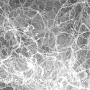 Nanotubi di Carbonio Monopareti Acquosi di Classe Premium con Gruppi Funzionali (Idrossilici e Carbossilici) di Varie Dimensioni per Uso Organico - Product Image 2