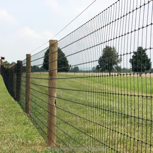 Edge Wire 2.0mm Mesh Wire 1.8mm 15cm 20cm 30cm Hole 1 M To 2.4 M Height Fixed Knot Hinge Joint Goat Fence Wire Cost