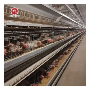 Uzbekistan poultry farm Chicken cage for hot selling