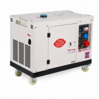 Venezuela OEM Direkter Fabrikpreis 10KW 12KW 15KW 10KVA 12KVA 15KVA 120V 240V 60Hz Tragbarer Leiser Dieselgenerator