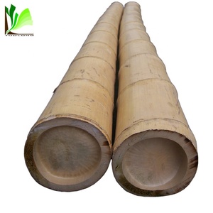 Eco-friendly Mould Proofed Construction <strong>Material</strong> Treated <strong>Raw</strong> <strong>Bamboo</strong> Branch Poles Phytosanitary Certificate Agriculture Garden - Product Image 3