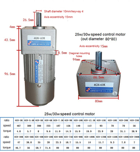 25/40W 4ik25/40rgn-c + 4gn300k 220v1phase 60Hz AC cảm ứng biến điều khiển tốc độ động cơ với tốc độ điều khiển cho băng tải - Product Image 5